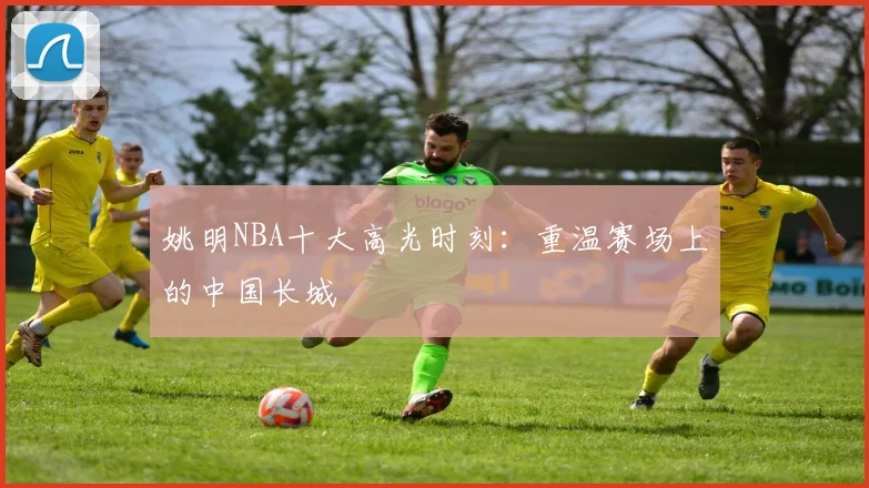 姚明NBA十大高光时刻：重温赛场上的中国长城