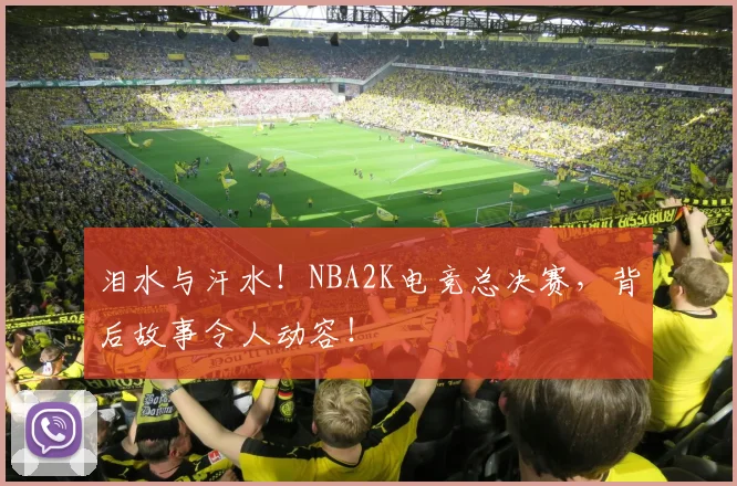 泪水与汗水!NBA2K电竞总决赛,背后故事令人动容!