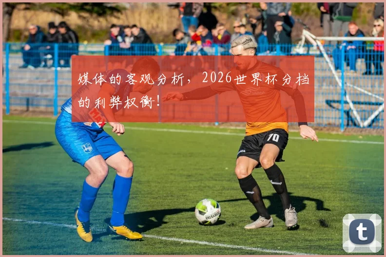媒体的客观分析，2026世界杯分档的利弊权衡！